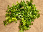 Charger l'image dans la galerie, Herbes aromatiques - Coriandre fraîche
