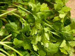 Charger l'image dans la galerie, Herbes aromatiques - Coriandre fraîche
