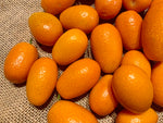 Charger l'image dans la galerie, Fruits - Kamquat
